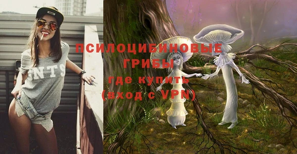 метадон Рославль