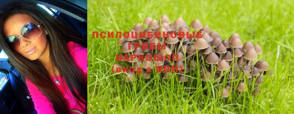 метадон Рославль
